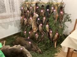 Myslivecký ples 2026